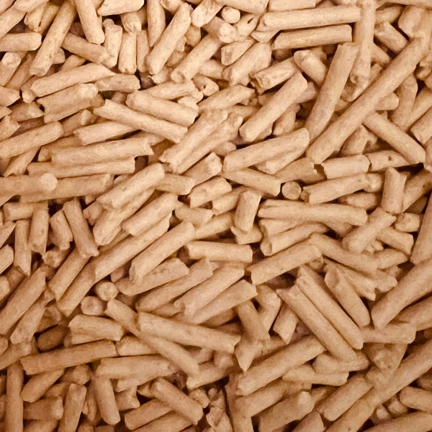 Pellet drzewny ENplus A1 o średnicy 6 mm z bliska